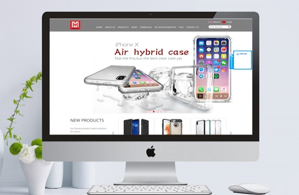 HW Case